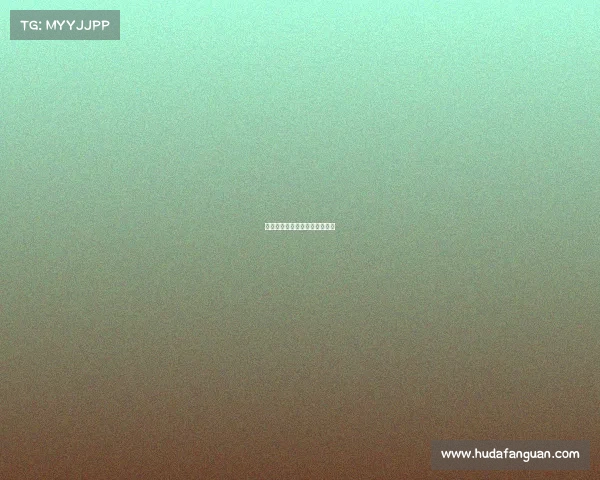 美国篮球职业联赛免费直播视频